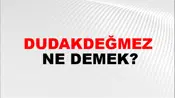 Dudakdeğmez