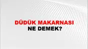 Düdük Makarnası