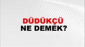 Düdükçü