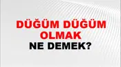 Düğüm Düğüm Olmak (Veya düğümlenmek)