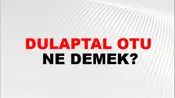 Dulaptal Otu