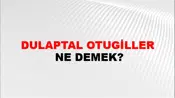 Dulaptal Otugiller