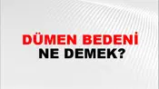 Dümen Bedeni