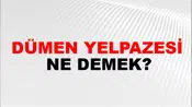 Dümen Yelpazesi
