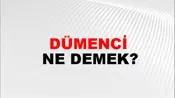 Dümenci