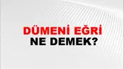 Dümeni Eğri