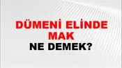 Dümeni Elinde Tutmak