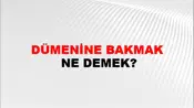 Dümenine Bakmak