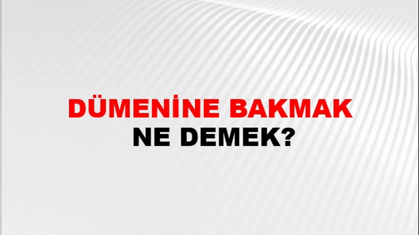 Dümenine Bakmak Dümenine Bakmak