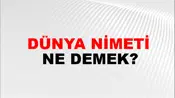Dünya Nimeti