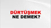 Dürtüşmek