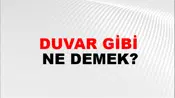 Duvar Gibi