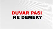Duvar Pası