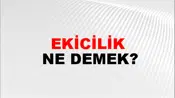 Ekicilik