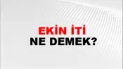Ekin İti