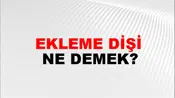 Ekleme Dişi