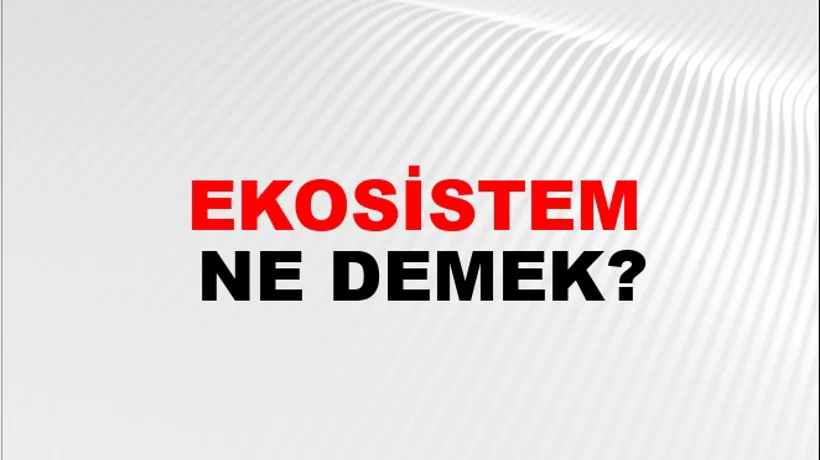 Ekosistem Ekosistem