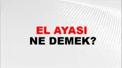 El Ayası