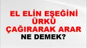 El Elin Eşeğini Türkü Çağırarak Arar
