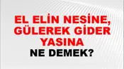 El Elin Nesine, Gülerek Gider Yasına