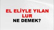 El Eliyle Yılan Tutulur