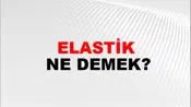 Elastik