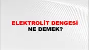 Elektrolit Dengesi