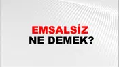 Emsalsiz