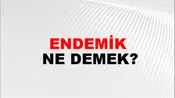 Endemik