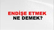 Endişe Etmek
