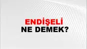 Endişeli