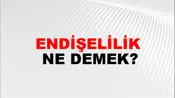 Endişelilik