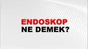 Endoskop