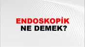 Endoskopik