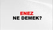 Enez