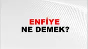 Enfiye