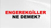 Engerekgiller
