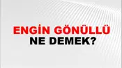 Engin Gönüllü