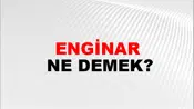 Enginar