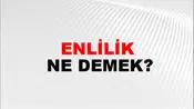 Enlilik