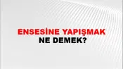 Ensesine Yapışmak