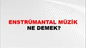 Enstrümantal Müzik