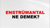 Enstrümantal