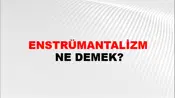 Enstrümantalizm