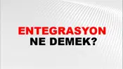 Entegrasyon