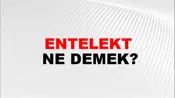 Entelekt