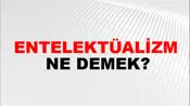 Entelektüalizm