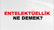 Entelektüellik
