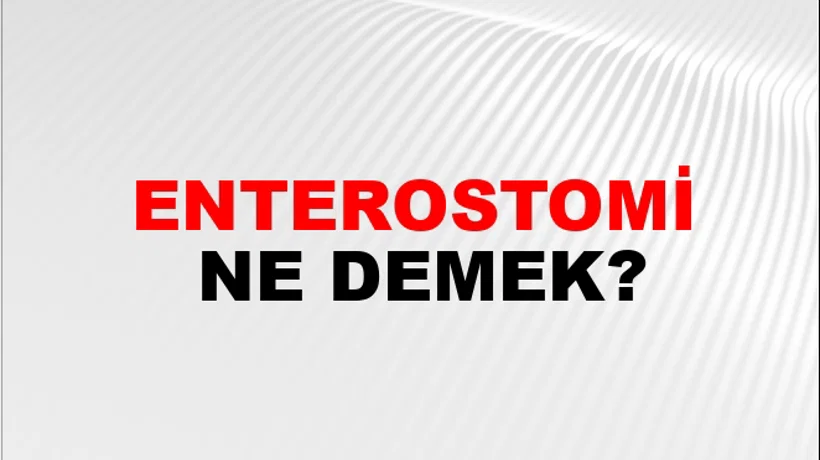 Enterostomi Enterostomi