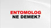 Entomolog